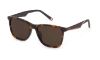Picture of Fila Sunglasses SFI461