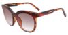 Picture of Fila Sunglasses SFI182