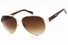 Picture of Fila Sunglasses SFI181