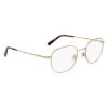 Picture of Flexon Eyeglasses H6076