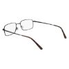 Picture of Flexon Eyeglasses H6074