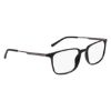 Picture of Flexon Eyeglasses EP8024