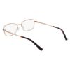 Picture of Flexon Eyeglasses W3044