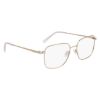 Picture of Flexon Eyeglasses H6070