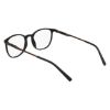 Picture of Flexon Eyeglasses EP8020