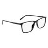 Picture of Flexon Eyeglasses EP8019