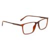 Picture of Flexon Eyeglasses EP8019