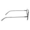 Picture of Flexon Eyeglasses H6066