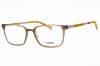 Picture of Flexon Eyeglasses EP8007