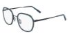 Picture of Flexon Eyeglasses W3021