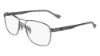 Picture of Flexon Eyeglasses AUTOFLEX 113