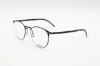 Picture of Flexon Eyeglasses B2000