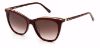 Picture of Fossil Sunglasses 2103/G/S