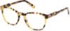 Picture of Gant Eyeglasses GA3255