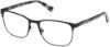 Picture of Gant Eyeglasses GA3249