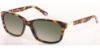 Picture of Gant Sunglasses GWS 2007