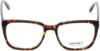 Picture of Gant Eyeglasses GA3105