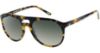 Picture of Gant Rugger Sunglasses GRS NELSON