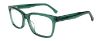 Picture of Gap Eyeglasses VGP029