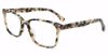 Picture of Gap Eyeglasses VGP035