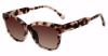 Picture of Gap Sunglasses SGP021