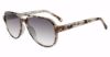 Picture of Gap Sunglasses SGP204