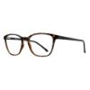 Picture of Georgetown Eyeglasses GTN802