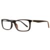 Picture of Georgetown Eyeglasses GTN797