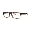 Picture of Georgetown Eyeglasses GTN774