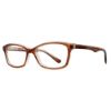 Picture of Georgetown Eyeglasses GTN770