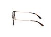 Picture of Guess Eyeglasses GU2918-D
