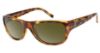 Picture of Guess Sunglasses GU 6697