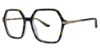Picture of H Halston Eyeglasses 2021