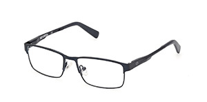 Picture of Harley Davidson Eyeglasses HD0146T
