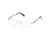 Picture of Harley Davidson Eyeglasses HD9027