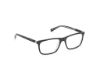 Picture of Harley Davidson Eyeglasses HD0975