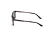 Picture of Harley Davidson Sunglasses HD0970X