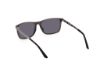 Picture of Harley Davidson Sunglasses HD0970X