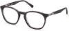 Picture of Harley Davidson Eyeglasses HD0907