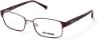 Picture of Harley Davidson Eyeglasses HD0543