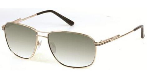 Picture of Harley Davidson Sunglasses HDX 876