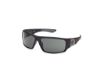 Picture of Harley Davidson Sunglasses HD0912X