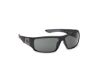 Picture of Harley Davidson Sunglasses HD0912X