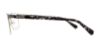 Picture of Harley Davidson Eyeglasses HD0757