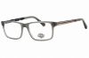 Picture of Harley Davidson Eyeglasses HD0752