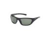 Picture of Harley Davidson Sunglasses HD0903X