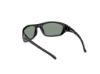 Picture of Harley Davidson Sunglasses HD0903X