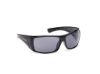 Picture of HD Z Tech Standard Sunglasses HZ0013