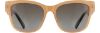Picture of INVU Sunglasses INVU- 302