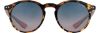 Picture of INVU Sunglasses INVU- 292